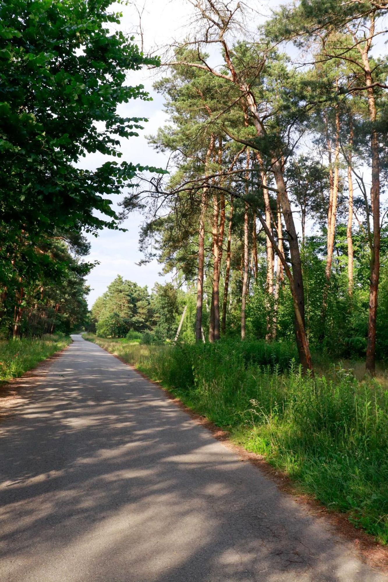 Agroturystyka U Koziolka Dlugowola Exteriör bild